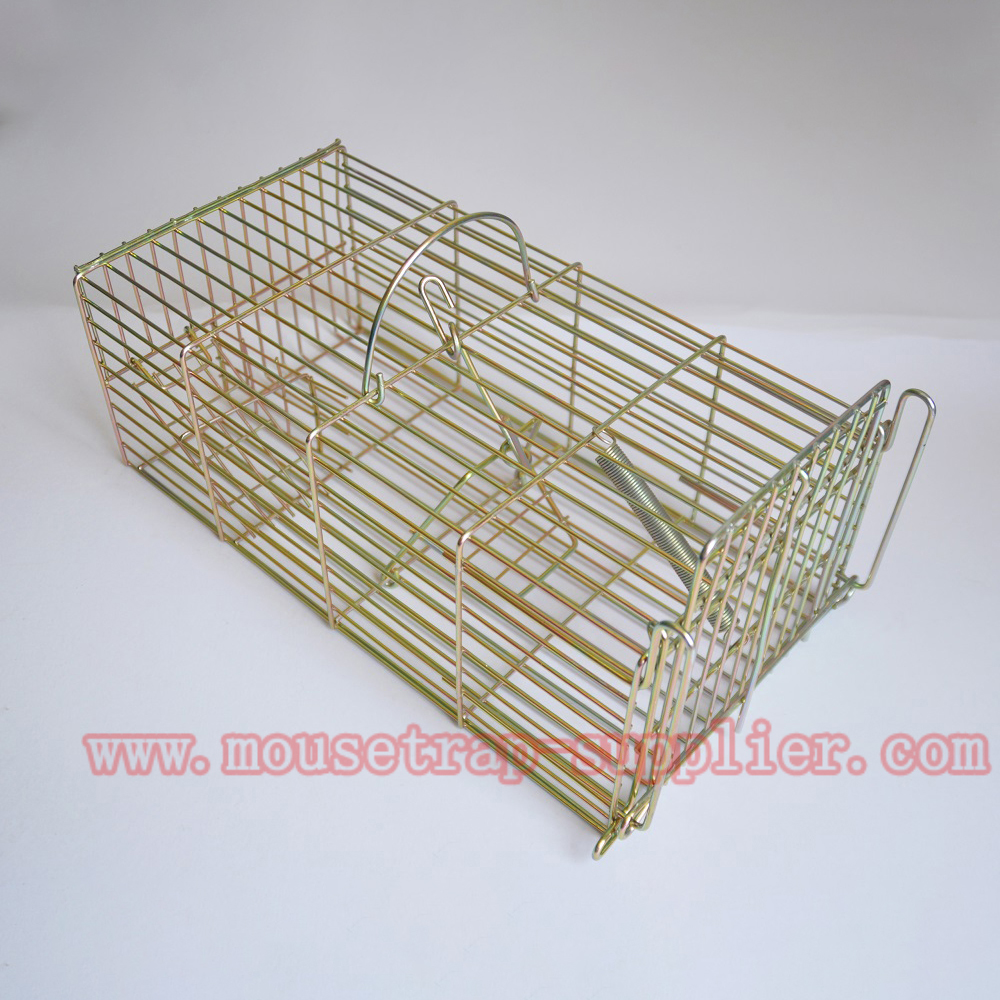 Humane Metal Animal Cat Squirr - огляд і ціна Board Game Quacks