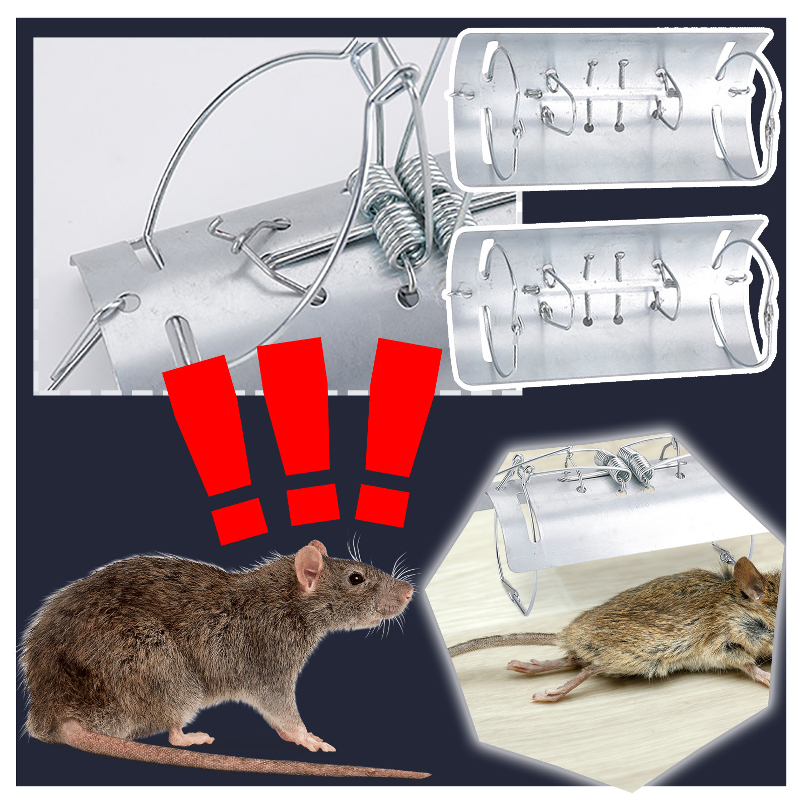 1pc Mole Trap Tunnel,Mole Clip - огляд і ціна Board Game Quacks
